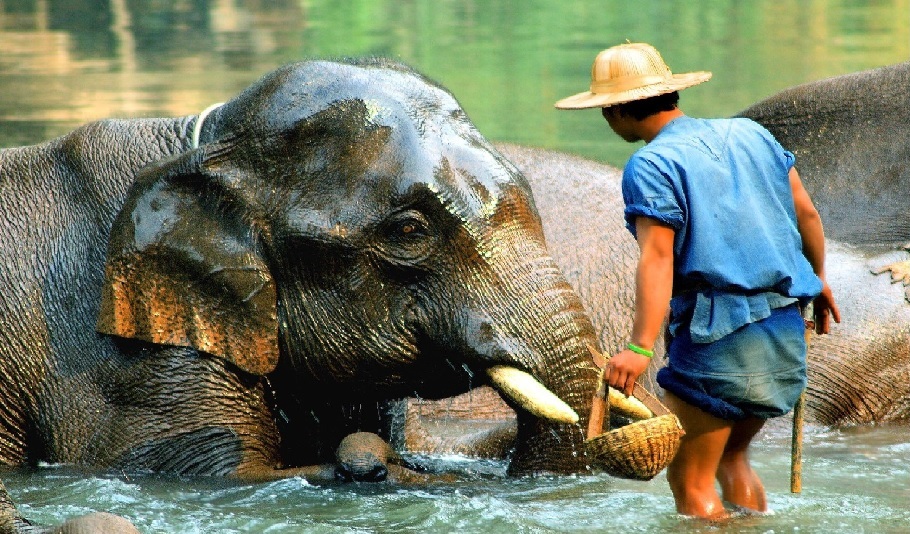 discover-the-top-5-best-places-and-attractions-to-visit-in-chiang-mai-thailand